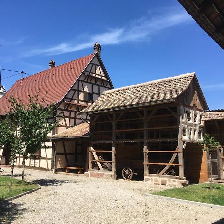 Gite D'Audrey Et Jean Uttenheim エクステリア 写真