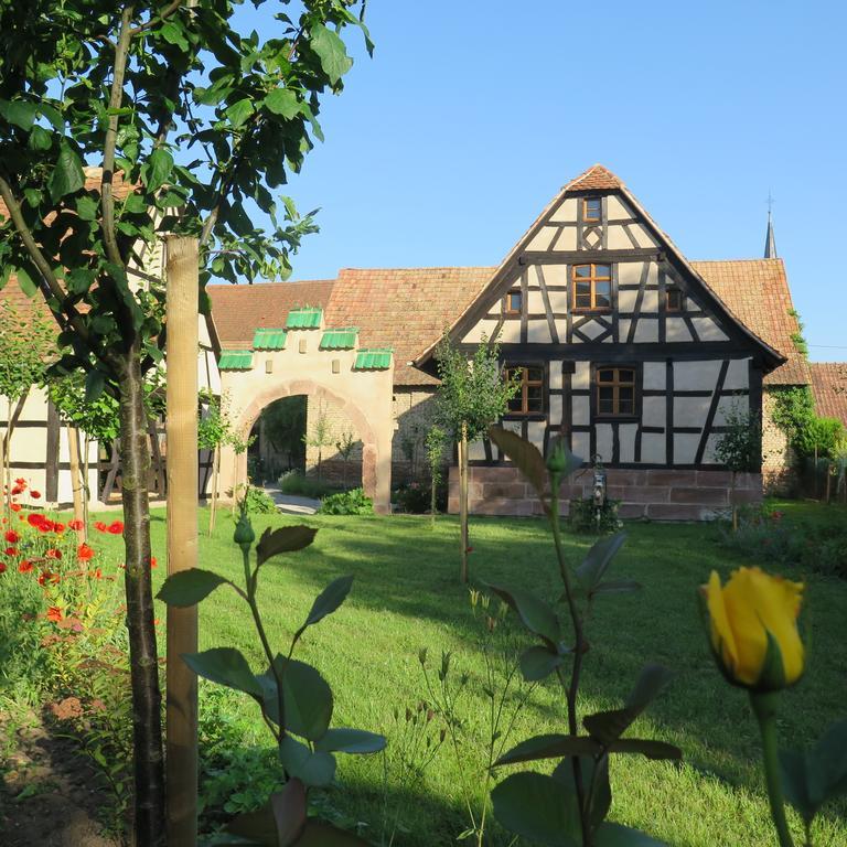 Gite D'Audrey Et Jean Uttenheim エクステリア 写真