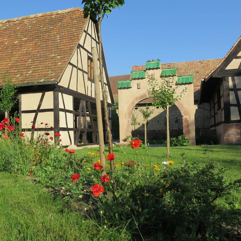 Gite D'Audrey Et Jean Uttenheim エクステリア 写真